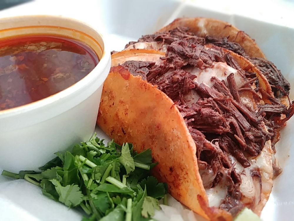 Birria Quesatacos